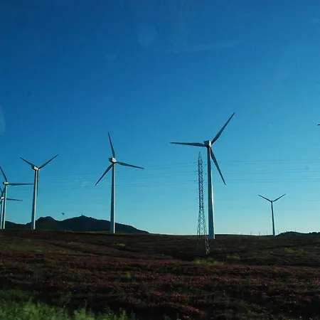 San Jose Del Valle 호텔 파시나스