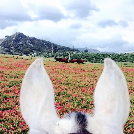 호텔 San Jose Del Valle